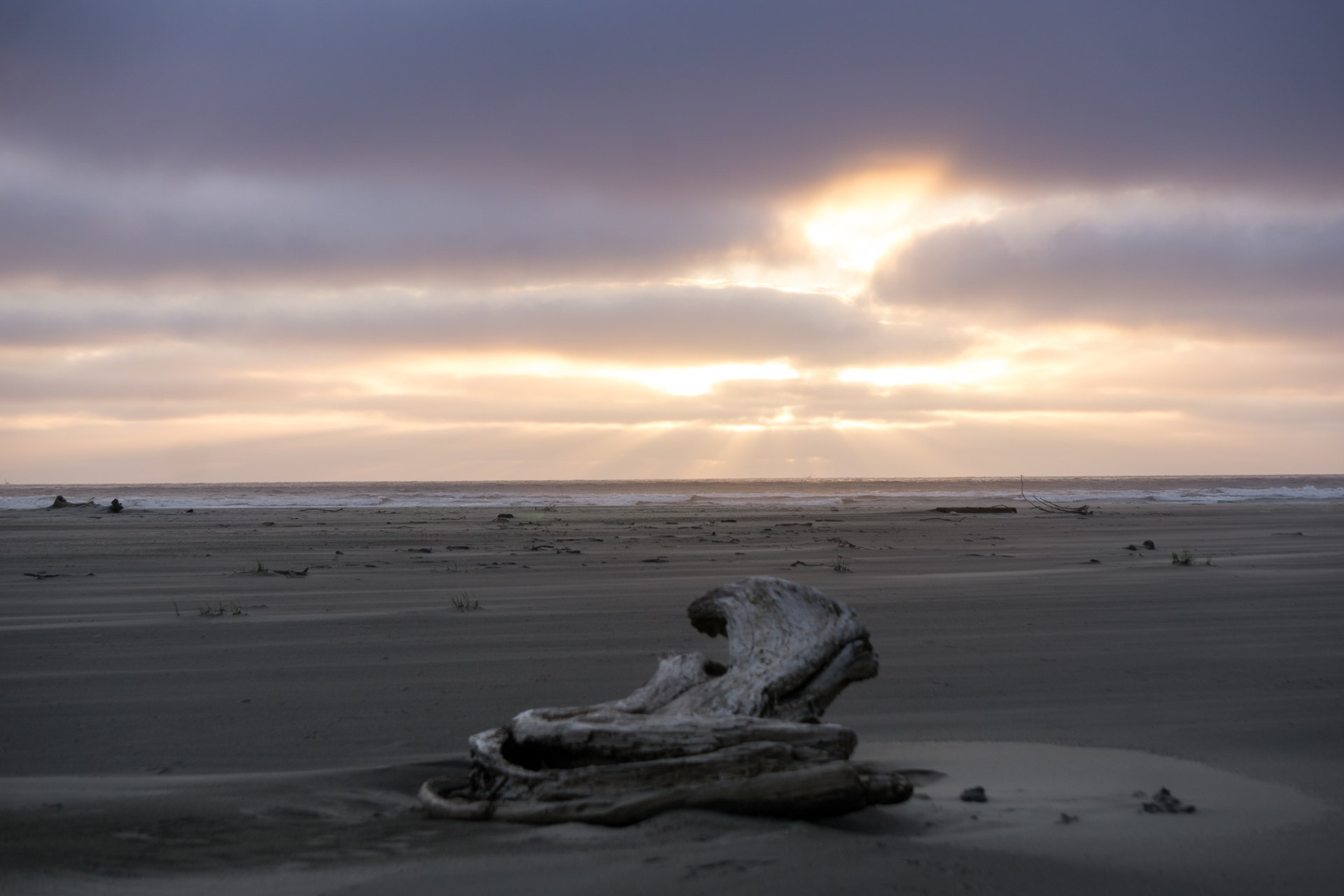 Take All Weekend To Explore Grayland Beach State Park In Washington